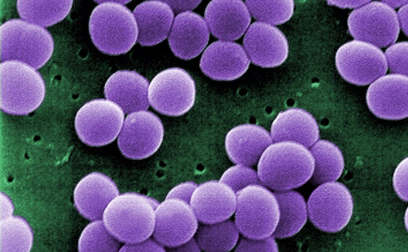 Resistant Germs Beat Antibiotics to the&nbsp;Punch